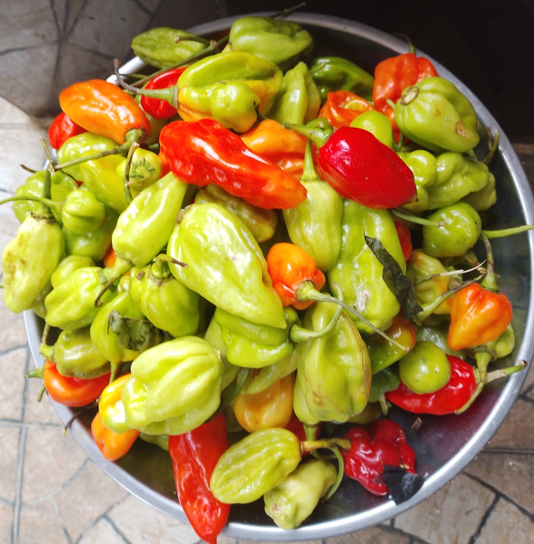 PIMENT FRAIS (1kg)