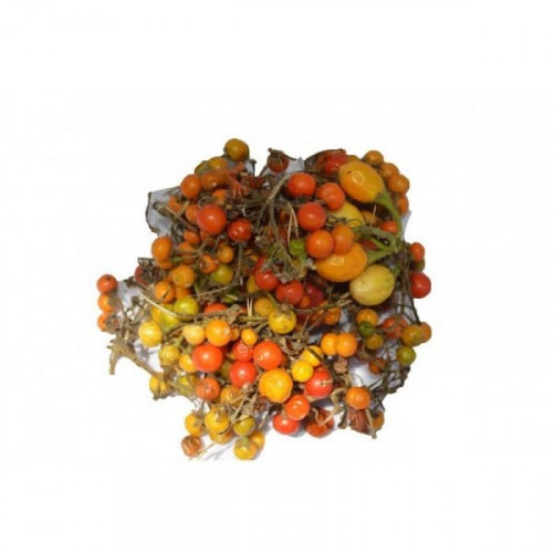 GNANGNAN FRAIS VERT (TAS)