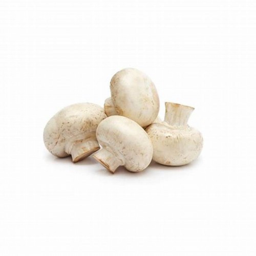 CHAMPIGNON (1Kg)