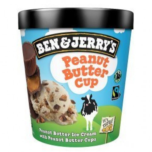 BEN & JERRY'S - COOKIE DOUGH (450ml)
