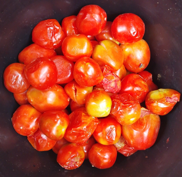 TOMATE CASSÉE (1Kg)