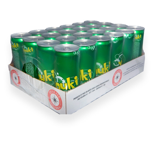 PACK (24) YOUKI POMME (33cl)