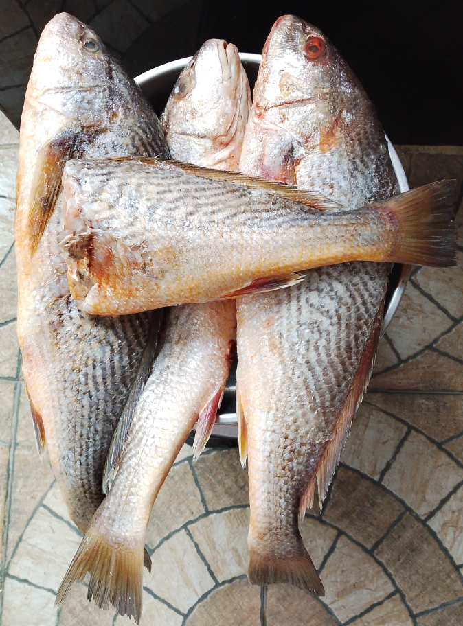 SOSSO AMERICAIN (1kg)