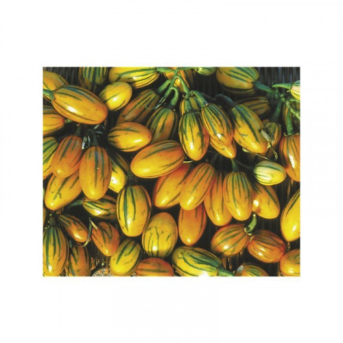 AUBERGINE PETITE (1Kg)