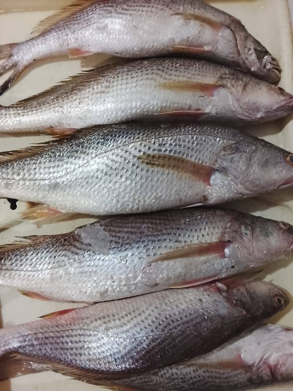 SOSSO LOCAL (1kg)